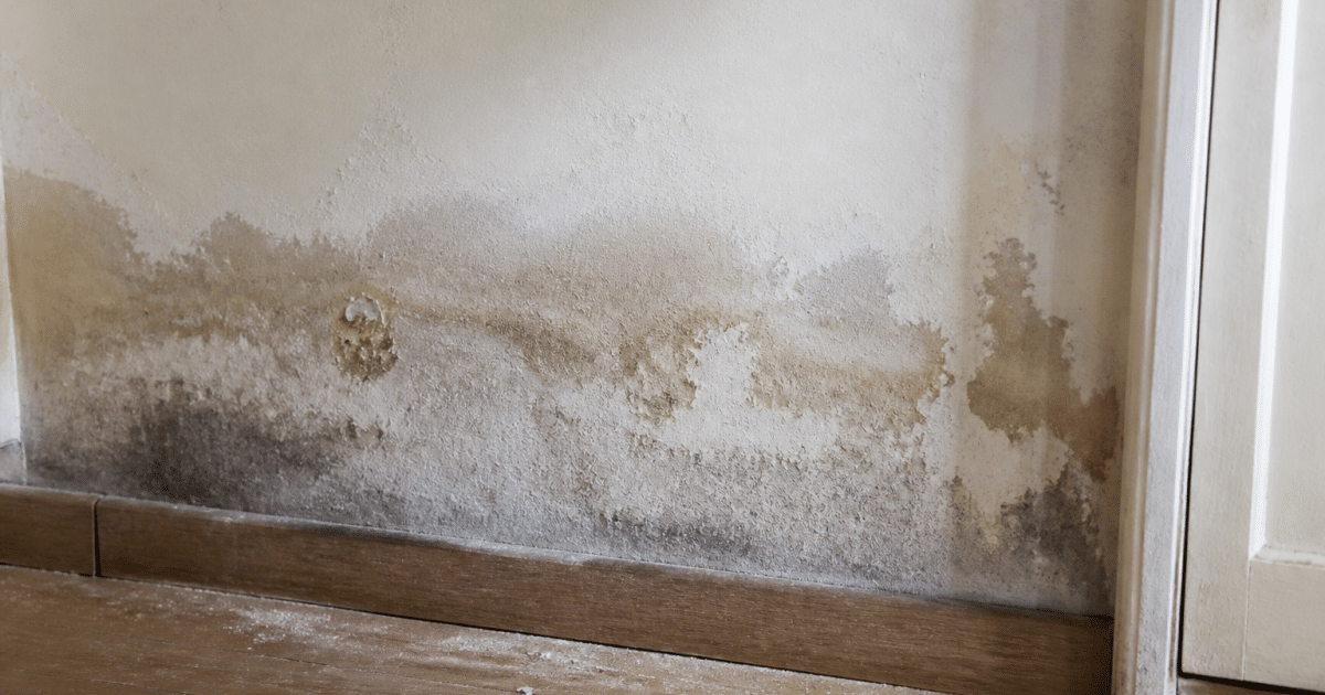 Mur interieur montrant taches humidite et infiltration eau visible