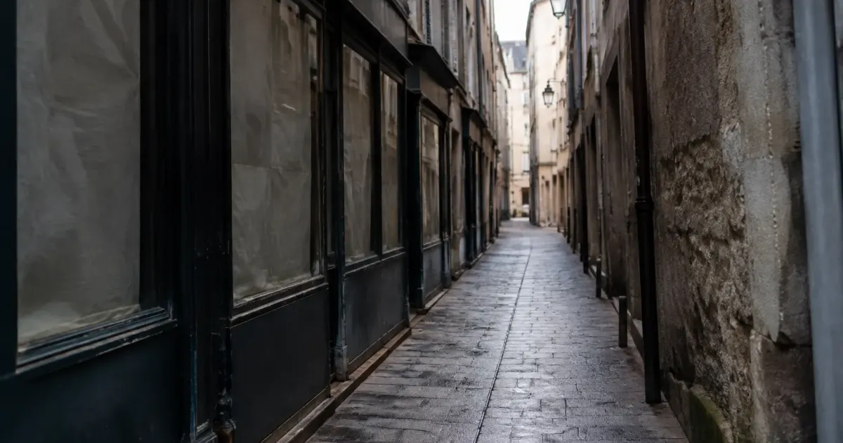 Allee sombre avec vitrines obturees et murs sales