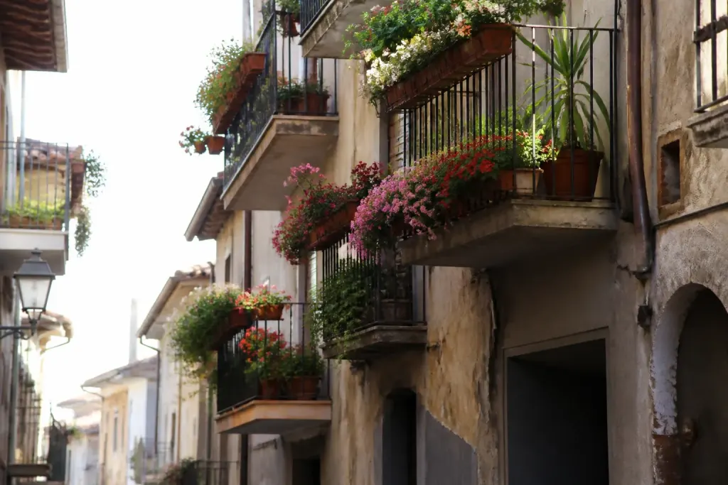 Immeubles serres aux balcons fleuris bordant une rue etroite